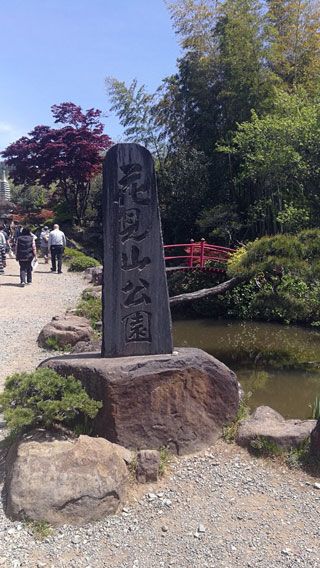 「とら」さんからの投稿写真＠花見山公園