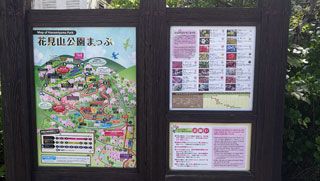 「とら」さんからの投稿写真＠花見山公園