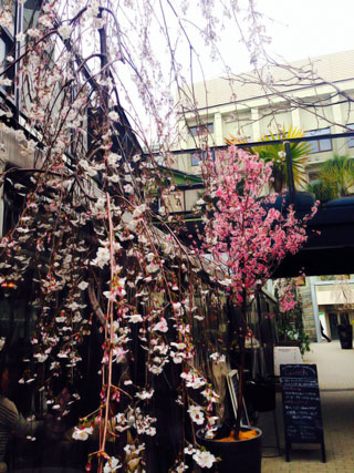 「meg03」さんからの投稿写真＠代々木VILLAGE