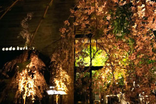 「arumi」さんからの投稿写真＠代々木VILLAGE