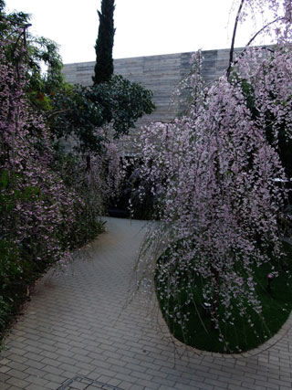 「しんどー」さんからの投稿写真＠代々木VILLAGE