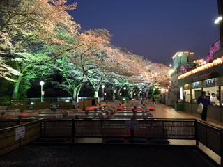 「にゃんこ」さんからの投稿写真＠としまえん