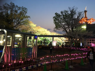 「にゃんこ」さんからの投稿写真＠としまえん