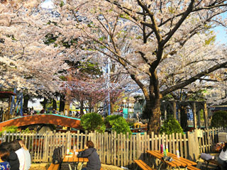 「ぽち」さんからの投稿写真＠としまえん