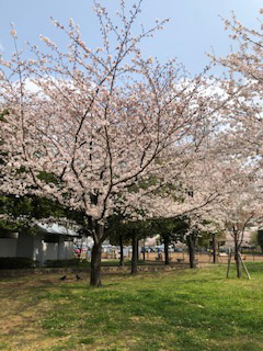 「fjitaka」さんからの投稿写真＠舎人公園