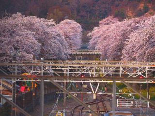 「hiroshi」さんからの投稿写真＠山北鉄道公園（御殿場線沿い）