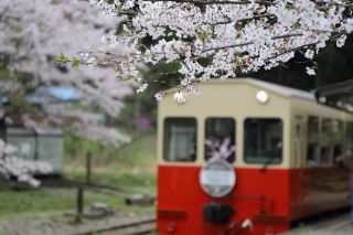「けいじ」さんからの投稿写真＠小湊鉄道