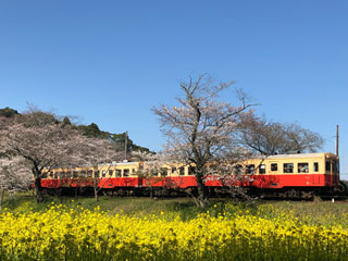 「りょう」さんからの投稿写真＠小湊鉄道