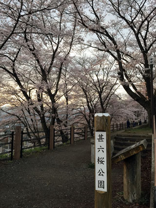 「花々」さんからの投稿写真＠甚六桜公園