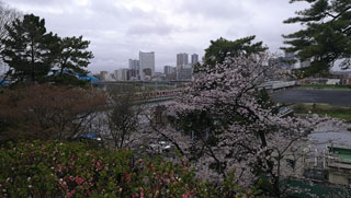 「にゃん」さんからの投稿写真＠多摩川台公園