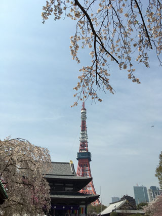 「アネモネ」さんからの投稿写真＠増上寺