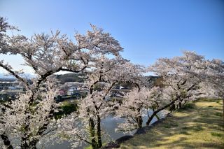 「jun」さんからの投稿写真＠白河小峰城