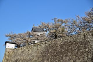 「jun」さんからの投稿写真＠白河小峰城