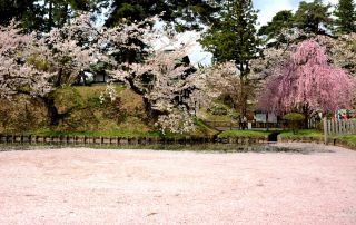 「かせい2月」さんからの投稿写真＠弘前公園