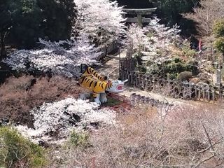 「おとーさん」さんからの投稿写真＠信貴山 朝護孫子寺