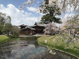 「じーかー」さんからの投稿写真＠平等院
