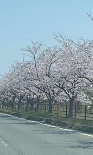 「Venus」さんからの投稿写真＠風車街道