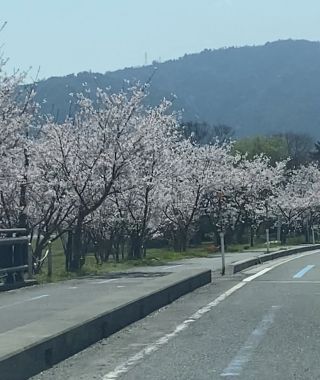 「Venus」さんからの投稿写真＠風車街道