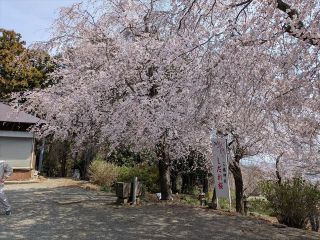 「おじん0523」さんからの投稿写真＠三嶋神社