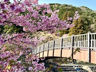 「あおいそら」さんからの投稿写真＠見帰りの滝