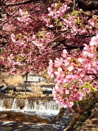 「あおいそら」さんからの投稿写真＠見帰りの滝
