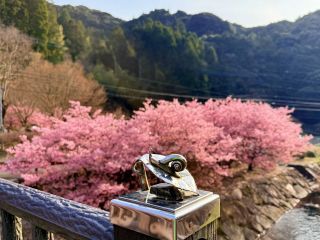 「あおいそら」さんからの投稿写真＠見帰りの滝