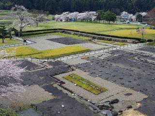 「おでかけ博士」さんからの投稿写真＠一乗谷朝倉氏遺跡