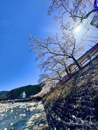 「nene」さんからの投稿写真＠下呂大橋河川敷