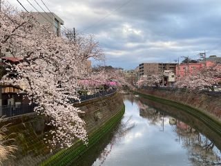 「氷の職人」さんからの投稿写真＠大岡川プロムナード