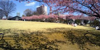「yuki」さんからの投稿写真＠宇都宮城址公園