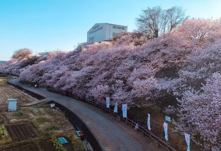 「acchan」さんからの投稿写真＠一の堰ハラネ・怒田丘陵