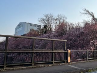 「奈李丹」さんからの投稿写真＠怒田丘陵