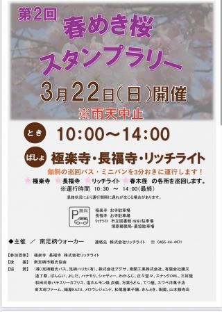 「足柄ウォーカー」さんからの投稿写真＠春木径・幸せ道桜まつり