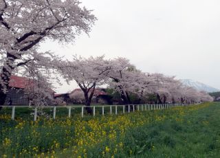 「kasei2月」さんからの投稿写真＠小岩井農場