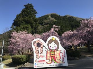 「hideki361」さんからの投稿写真＠竹田の里のしだれ桜