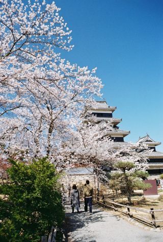 「山雅1965」さんからの投稿写真＠国宝 松本城