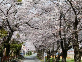 「BMW7172」さんからの投稿写真＠相川水辺公園