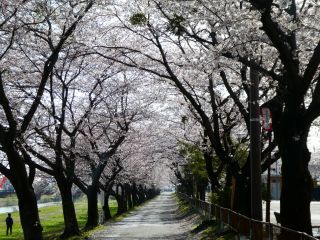 「BMW7172」さんからの投稿写真＠相川水辺公園