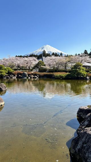 「まさと」さんからの投稿写真＠大石寺