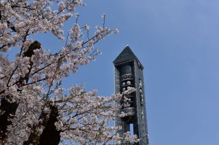 「マリオ」さんからの投稿写真＠東山動植物園