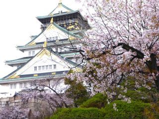 「楽々」さんからの投稿写真＠大阪城公園