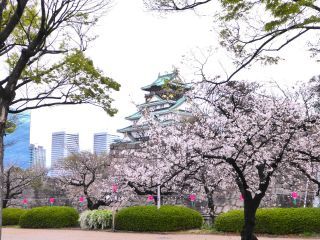 「楽々」さんからの投稿写真＠大阪城公園