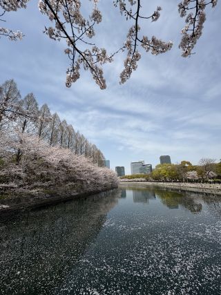「山」さんからの投稿写真＠大阪城公園