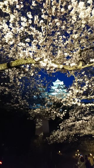 「ドリセブ☆」さんからの投稿写真＠姫路城
