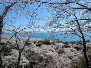 「トコトコ」さんからの投稿写真＠正福寺山公園