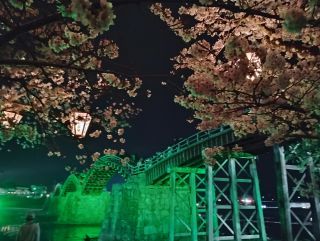 「うりうり」さんからの投稿写真＠錦帯橋・吉香公園
