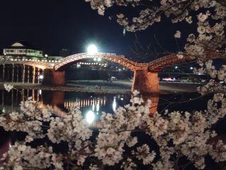 「うりうり」さんからの投稿写真＠錦帯橋・吉香公園