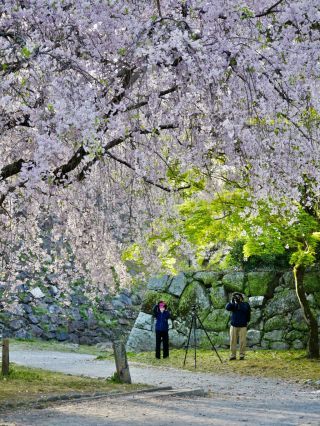 「masa.riverside」さんからの投稿写真＠舞鶴公園（福岡県）