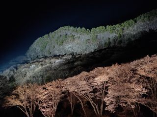 「Rirakuma.urちゃん」さんからの投稿写真＠屏風岩公苑