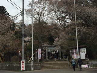 「カラっぺ」さんからの投稿写真＠磯部桜川公園